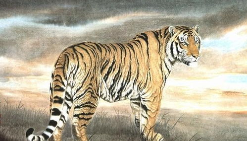 摩羯座最有福气的属相(摩羯座那个生肖最出名) 摩羯座最有福气的属相(摩羯座那个生肖最出名)