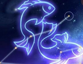 双鱼座的12种神力(双鱼座神奇) 双鱼座的12种神力(双鱼座神奇)