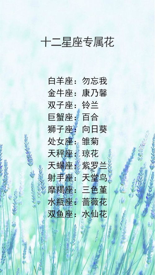 12星座的霸气口头禅(十二星座霸气口头禅) 12星座的霸气口头禅(十二星座霸气口头禅)