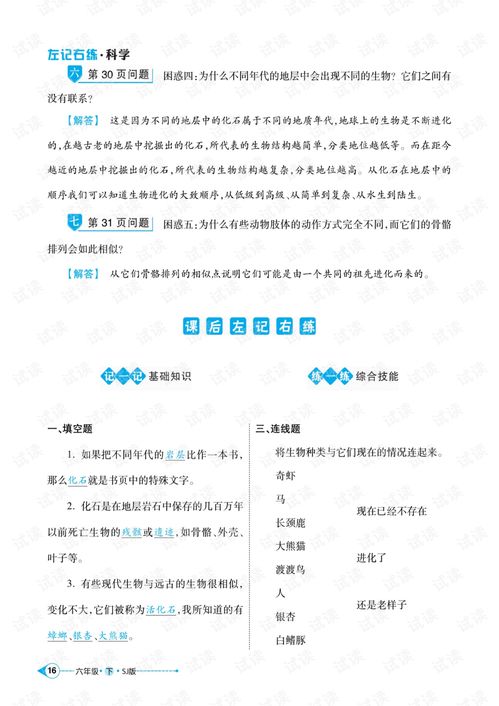 射手座运势2021年6月运势详解（2021射手座6月份运势）