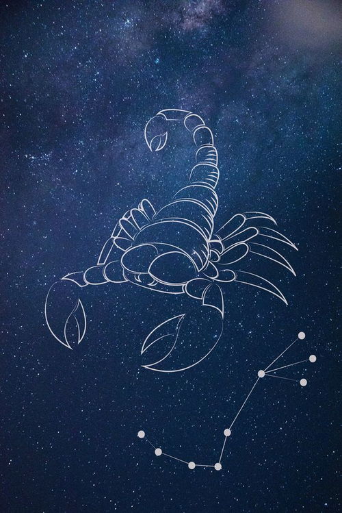 天蝎座今日运势水墨(天蝎座今日运势查询水墨先生网) 天蝎座今日运势水墨(天蝎座今日运势查询水墨先生网)