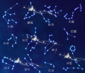星座算命网美国神婆（星座算命网美国神婆在线观看）