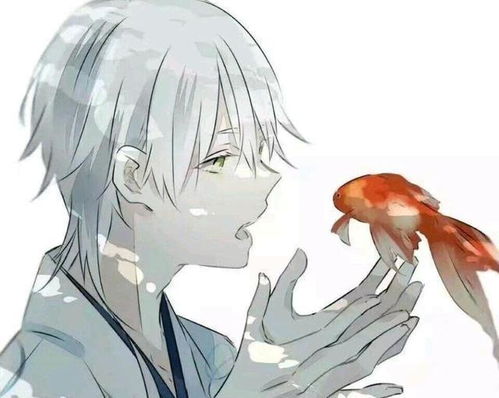 双鱼男会故意冷落喜欢的人吗(双鱼男故意冷漠是不喜欢吗) 双鱼男会故意冷落喜欢的人吗(双鱼男故意冷漠是不喜欢吗)