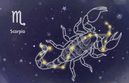 天蝎座今日运势2023(天蝎座今日运势星座屋) 天蝎座今日运势2023(天蝎座今日运势星座屋)