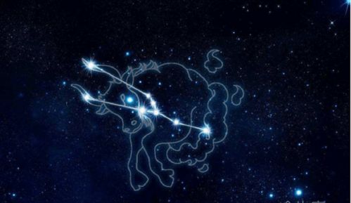 哪个星座会杀了金牛座(什么星座虐金牛座) 哪个星座会杀了金牛座(什么星座虐金牛座)