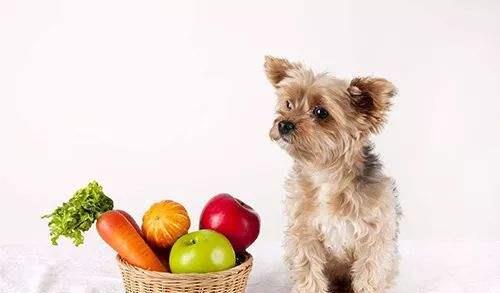 2014年5月23日是什么星座（2014年5月23日阳历是多少）