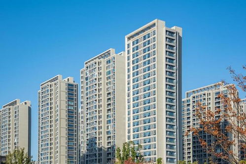 重磅消息,10月美元再次大降息,中国楼市“泼天富贵”一触即发。 重磅消息,10月美元再次大降息,中国楼市“泼天富贵”一触即发。