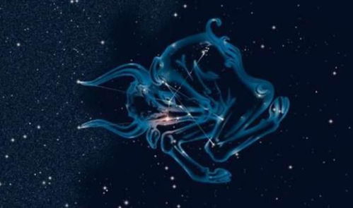 双子座最配的星座(双子座最配的星座是什么? 双子座最配的星座(双子座最配的星座是什么?