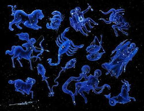 八月出生的是什么星座（水象,土象,火象,风象星座有哪些）