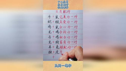 生肖配对表图片十二生肖(生肖配对表 属相) 生肖配对表图片十二生肖(生肖配对表 属相)