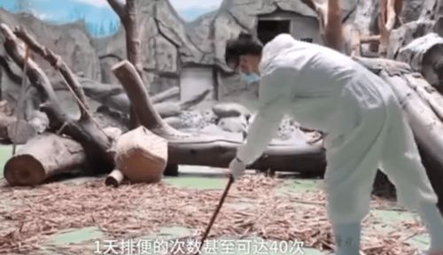 白羊男越爱你越想虐你(白羊男越爱你越想虐你的表现) 白羊男越爱你越想虐你(白羊男越爱你越想虐你的表现)