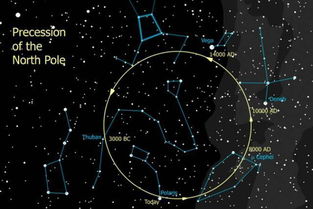 大熊座和十二星座关系(大熊座和十二星座关系图) 大熊座和十二星座关系(大熊座和十二星座关系图)