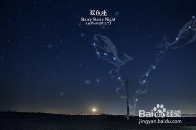 双鱼座男生什么性格(双鱼座男生什么性格特点) 双鱼座男生什么性格(双鱼座男生什么性格特点)