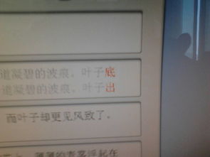 星座按农历算还是阳历算?星座按农历算还是阳历算更准确）