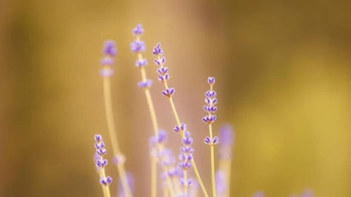 心狠起来很可怕的星座(心狠手辣星座) 心狠起来很可怕的星座(心狠手辣星座)