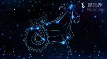 逆向思维最厉害射手座(善于逆向思维的星座) 逆向思维最厉害射手座(善于逆向思维的星座)