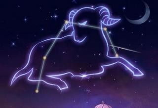 女生星座性格分析(女生星座性格分析大全) 女生星座性格分析(女生星座性格分析大全)