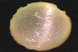 2002年狮子座流星雨(2002年 狮子座 流星雨) 2002年狮子座流星雨(2002年 狮子座 流星雨)