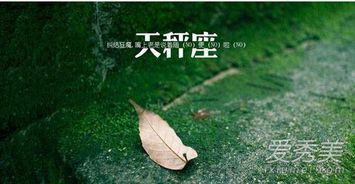 巨蟹座和谁是最佳闺蜜(巨蟹座和谁最配做闺蜜? 巨蟹座和谁是最佳闺蜜(巨蟹座和谁最配做闺蜜?