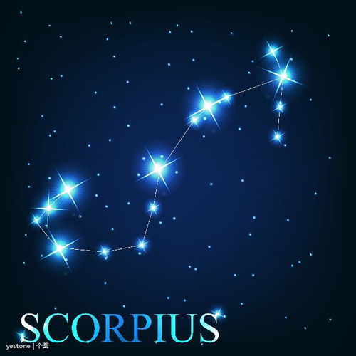 最愿意宠爱天蝎座的星座(最听天蝎座话的星座) 最愿意宠爱天蝎座的星座(最听天蝎座话的星座)