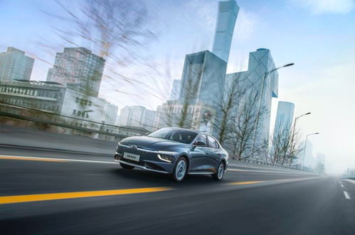 双鱼男找老婆的标准(双鱼男选老婆标准) 双鱼男找老婆的标准(双鱼男选老婆标准)