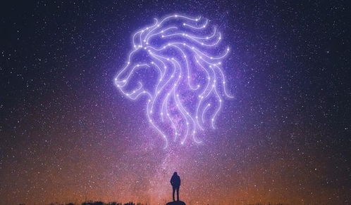 100%让狮子座动心的星座(让狮子座疯狂喜欢的星座) 100%让狮子座动心的星座(让狮子座疯狂喜欢的星座)