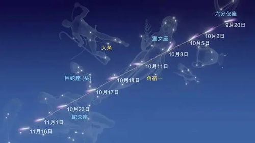 2024年狮子座流星雨几点开始(2020年狮子座流星雨具体时间) 2024年狮子座流星雨几点开始(2020年狮子座流星雨具体时间)