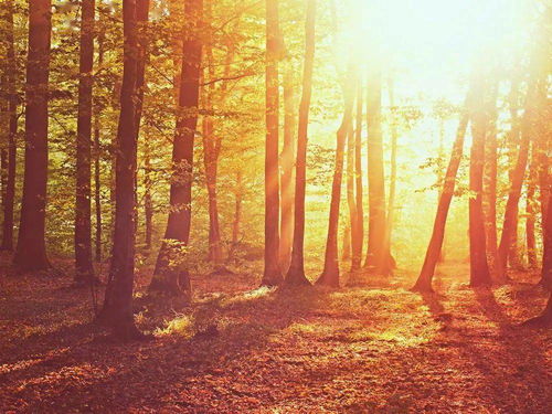 天蝎座几岁开始变丑（天蝎座几岁会变聪明）