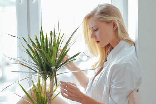 1月出生的摩羯女(1月出生的摩羯女颜值高吗) 1月出生的摩羯女(1月出生的摩羯女颜值高吗)