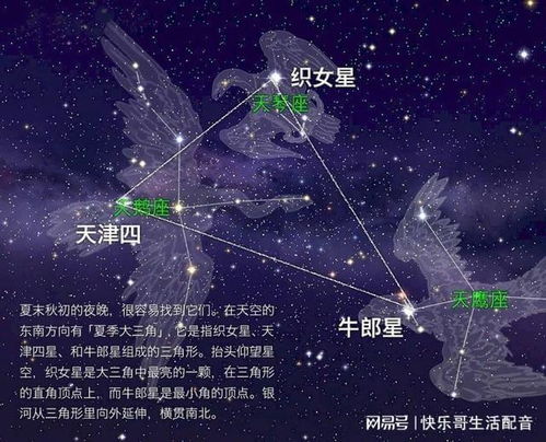 织女星牛郎星属于哪个星座（牛郎星织女星是哪两个星座）
