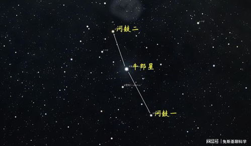 织女星牛郎星属于哪个星座（牛郎星织女星是哪两个星座）