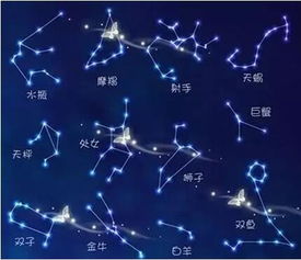 你最吸引哪个星座的人(你吸引什么星座的人) 你最吸引哪个星座的人(你吸引什么星座的人)