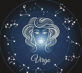 双子座2024年最终感情归宿（双子座2024年最终感情归宿的双子女）