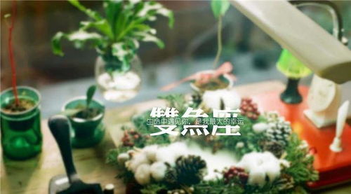 双鱼座变得理性会怎样（双鱼座理智起来）