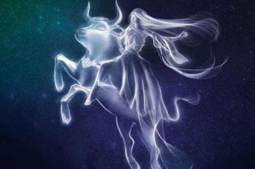 11月15日是什么星座男(11月15日的人是什么座) 11月15日是什么星座男(11月15日的人是什么座)