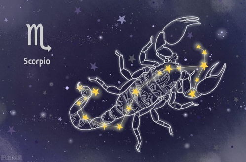 天蝎座2022年每月运势详解（天蝎座2021年每月运势完整版第一星座）