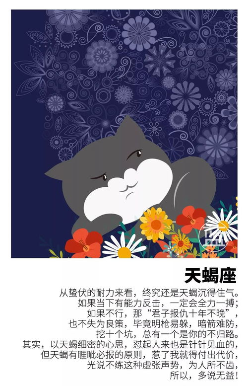 如何查上升星座和太阳星座（怎么查自己的上升星座太阳星座和月亮星座）