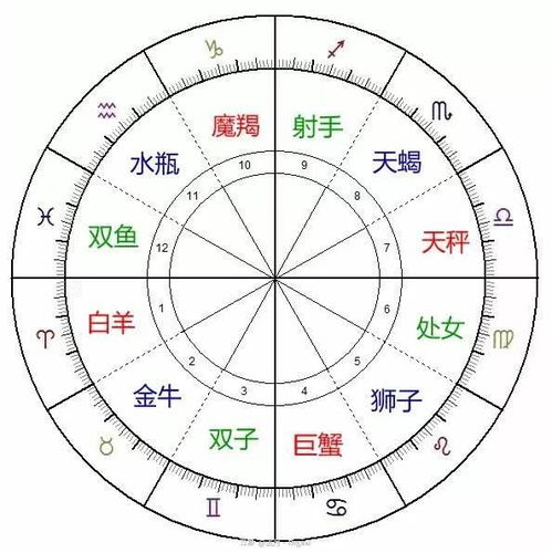 星座宫位查询免费（星座宫位图怎么看）