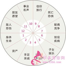 星座宫位查询免费（星座宫位图怎么看）