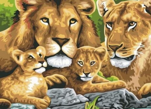 哪天出生的狮子座最聪明（狮子座几日出生大富大贵）