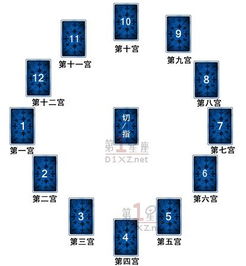 怎么查询自己的十二宫(怎么查十二宫位) 怎么查询自己的十二宫(怎么查十二宫位)