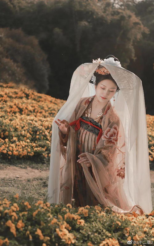 等不到双子座流星雨洒满天际歌词(等不到双子座流星雨简谱) 等不到双子座流星雨洒满天际歌词(等不到双子座流星雨简谱)