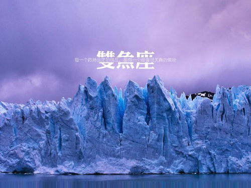 真正爱双鱼的星座(爱双鱼座爱到疯的星座) 真正爱双鱼的星座(爱双鱼座爱到疯的星座)