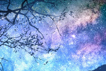 哪一年有狮子座流星雨(狮子座流星雨哪年出现过) 哪一年有狮子座流星雨(狮子座流星雨哪年出现过)