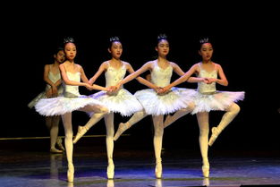 星座密码舞蹈视频教学(星座密码的舞蹈怎么跳) 星座密码舞蹈视频教学(星座密码的舞蹈怎么跳)