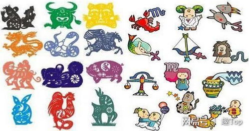 星座与血型和属相(星座与血型和属相的关系) 星座与血型和属相(星座与血型和属相的关系)