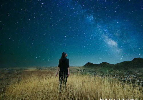 关于双鱼座的一切(关于双鱼座的一切信息) 关于双鱼座的一切(关于双鱼座的一切信息)