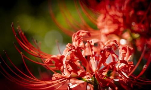 水瓶座女孩怎么追(水瓶座女生怎么追喜欢的人) 水瓶座女孩怎么追(水瓶座女生怎么追喜欢的人)