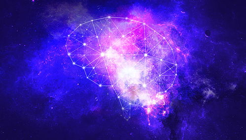 我的月亮星座查询（月亮星座查查询）