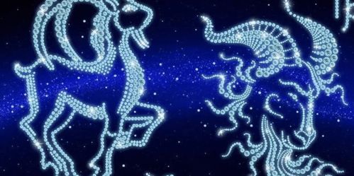 摩羯座女人(摩羯座女) 摩羯座女人(摩羯座女)